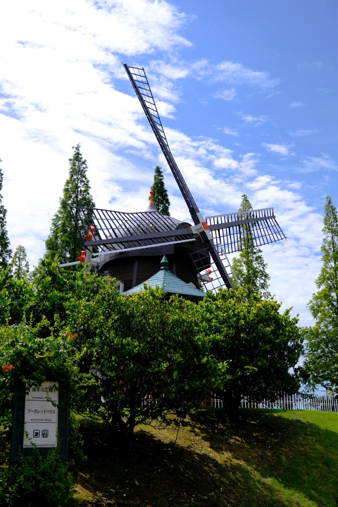 残暑の中・久し振りにデンパークへ＃４