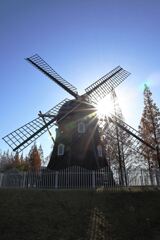 クリスマスムード満点のデンパーク#2