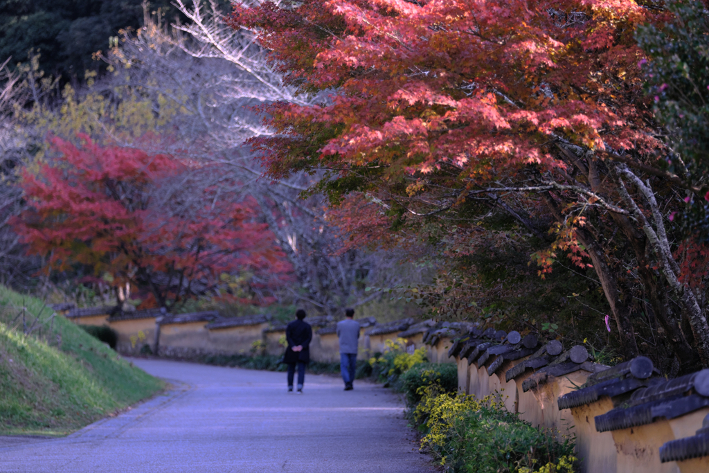 晩秋の紅葉撮影・松平郷＃８