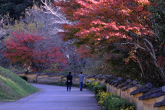 晩秋の紅葉撮影・松平郷#8