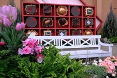 デンパーク・温室内の花たち＃８