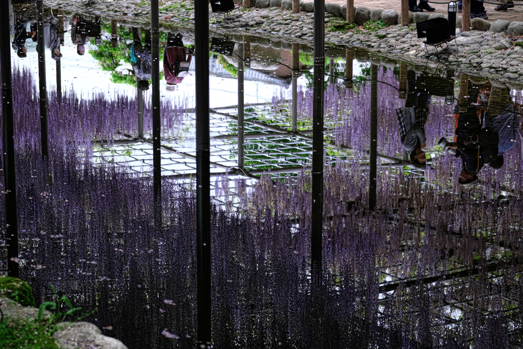 天王川・水面への映り込み＃５