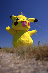 畑の真ん中にピカチュー出現!#2