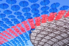 ２年振りのカリアンブレラ＃４