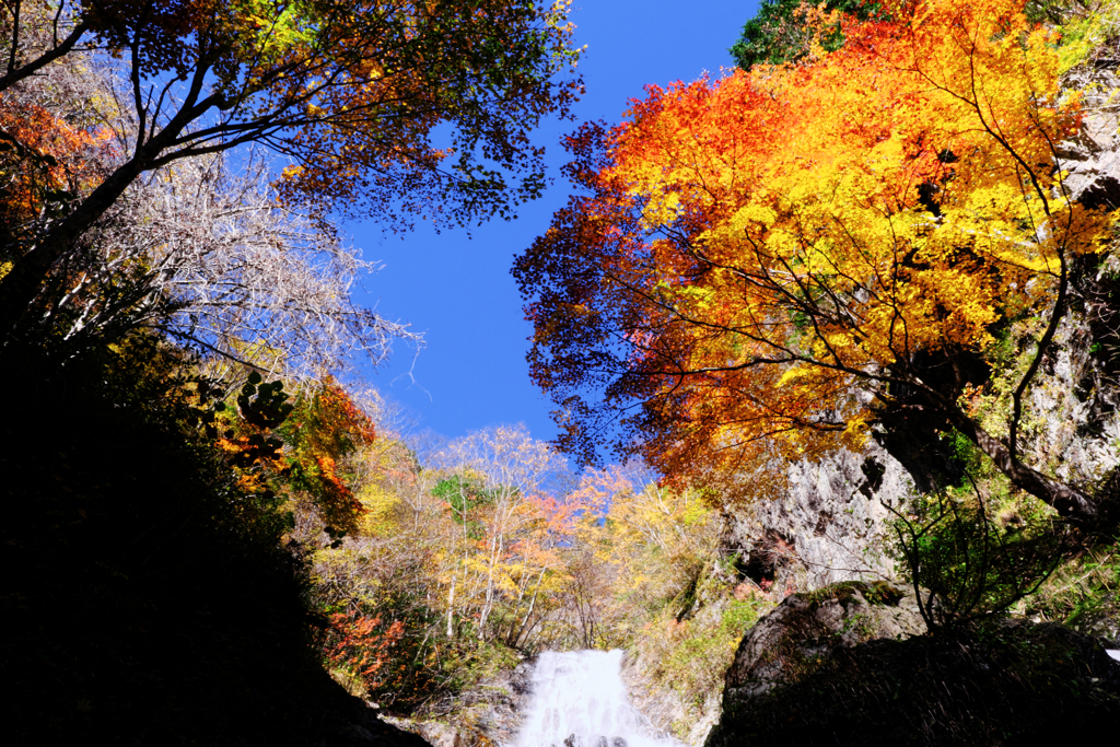 木曽町唐沢の滝・紅葉撮影＃５