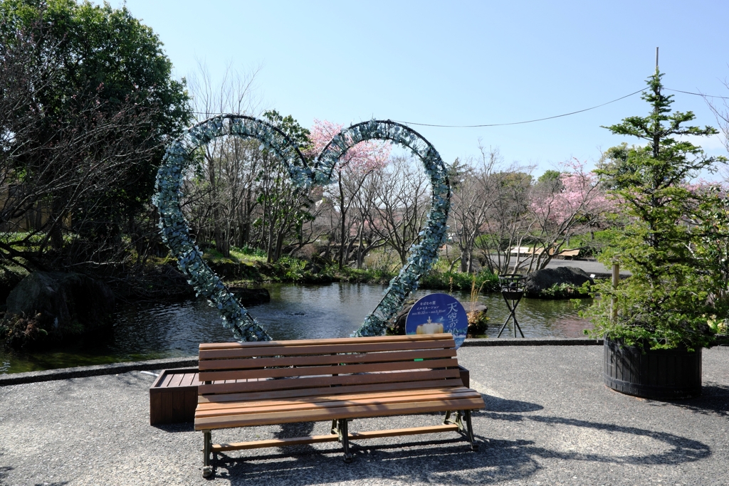 なばなの里・春真っ盛り＃１