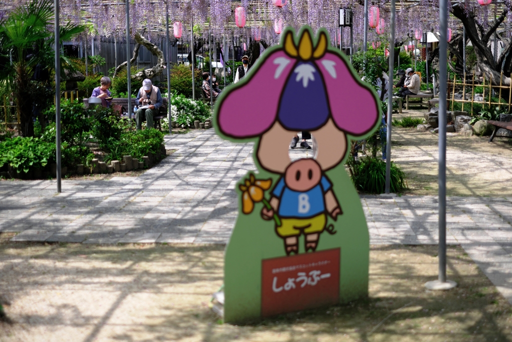 ローカルでも歴史のある藤園＃５