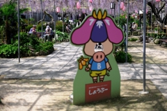 ローカルでも歴史のある藤園＃５