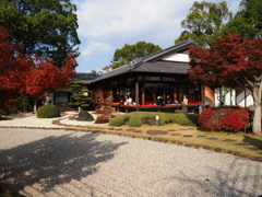 西尾歴史公園の紅葉#6