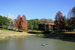 於大公園・このはな館＃１０