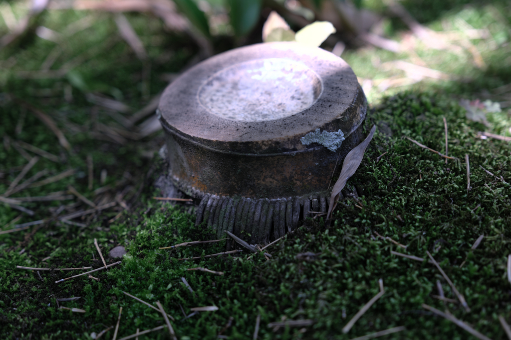 新緑眩しい丈山苑（Part2）＃４