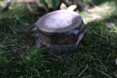 新緑眩しい丈山苑（Part2）＃４