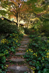 晩秋の紅葉撮影・松平郷#4