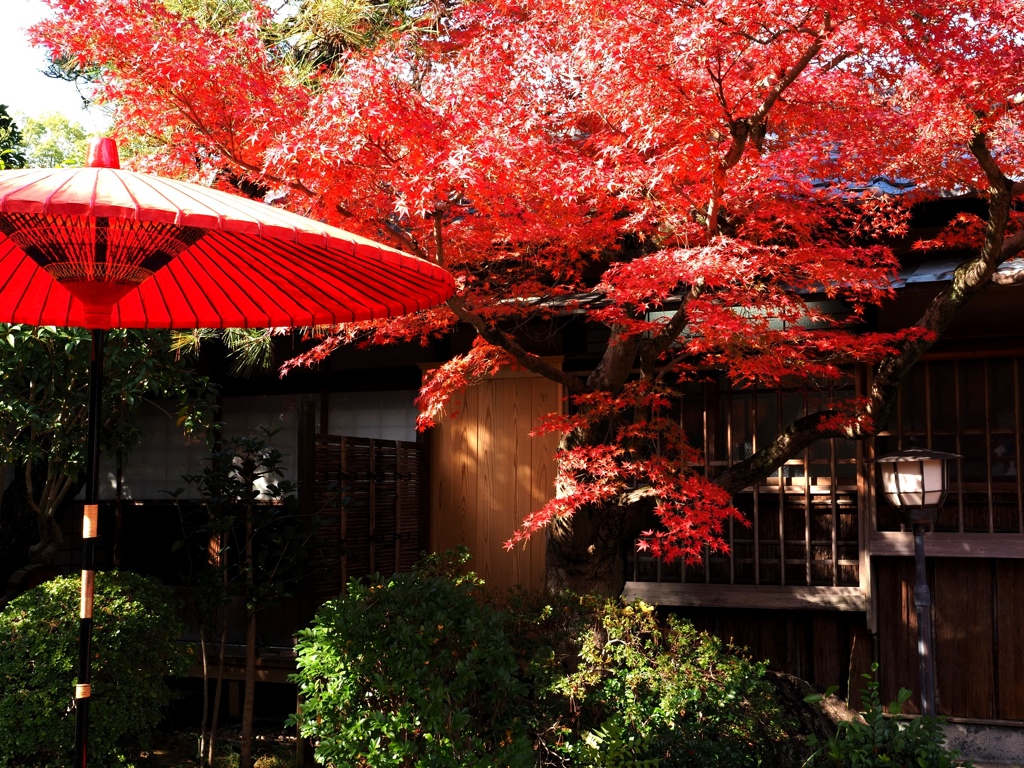 紅葉の名所西尾市の『尚古荘』＃１０