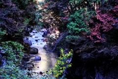 久し振りの阿寺渓谷＃２