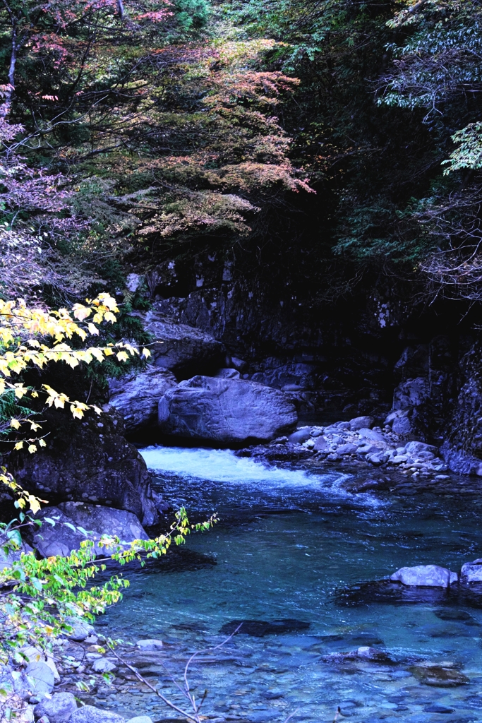 久し振りの阿寺渓谷＃１