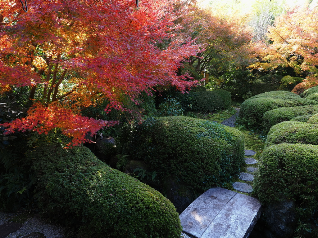 京都風情タップリ丈山苑＃１０
