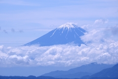 レンゲツツジと富士山＃９