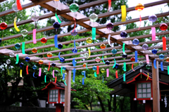 市原稲荷神社の風鈴情景#4
