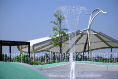 残暑厳しい水辺公園の様子＃６