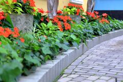 フローラルプレイス内の様子＃２