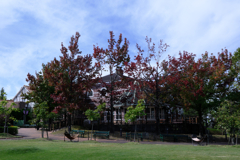 秋本番デンパークとハロウィン＃２