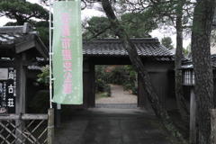 敢えて雨降りの紅葉撮影#1