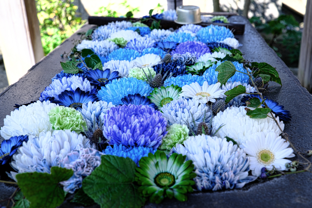 てらまちウォークと花手水＃５