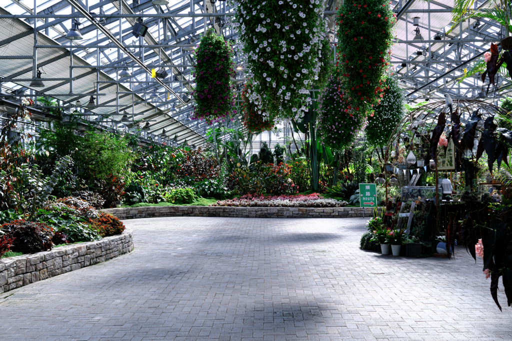 なばなの里・ベゴニアガーデン＃４