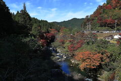 久し振りに大井平公園紅葉撮影＃６