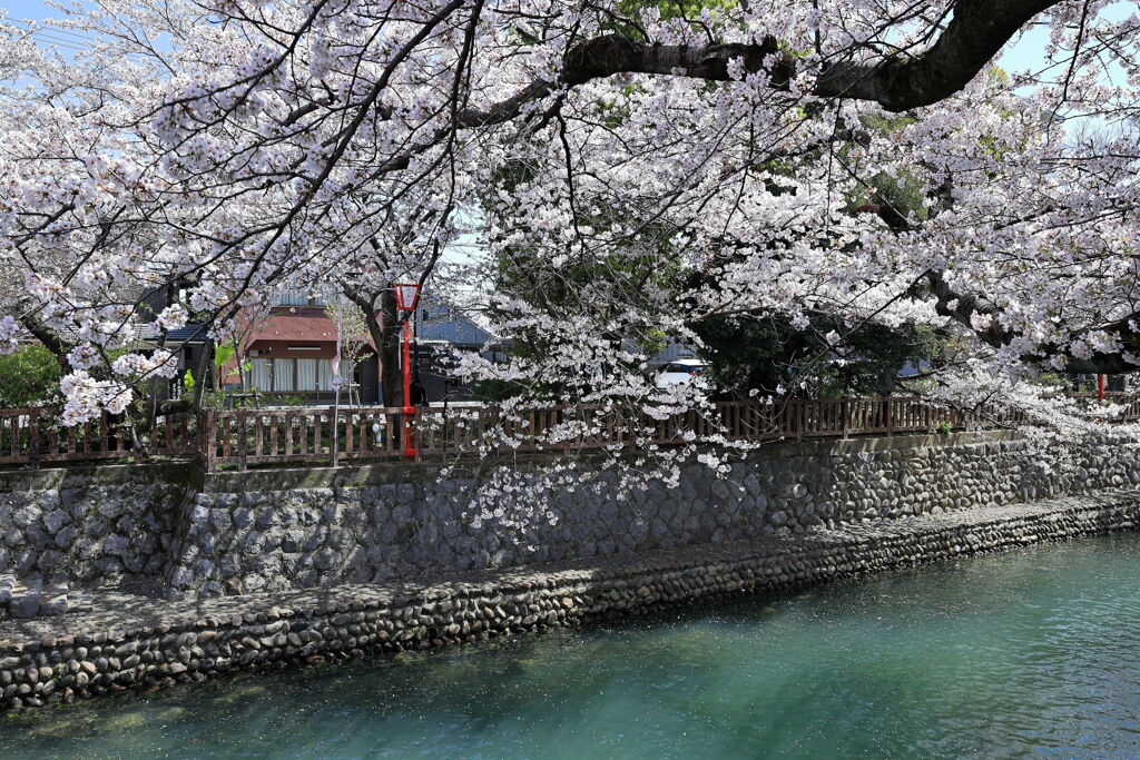 奥の細道むすびの地・大垣＃９
