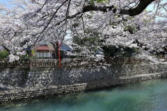 奥の細道むすびの地・大垣＃９