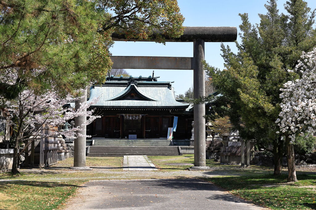 春爛漫の大垣公園と大垣城＃３