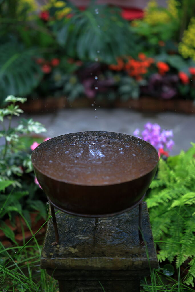 夏至の暑さに負けず・・・・＃７