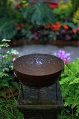 夏至の暑さに負けず・・・・＃７