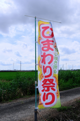 にいみ農園ヒマワリ畑#1