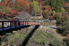 久し振りに大井平公園紅葉撮影＃９