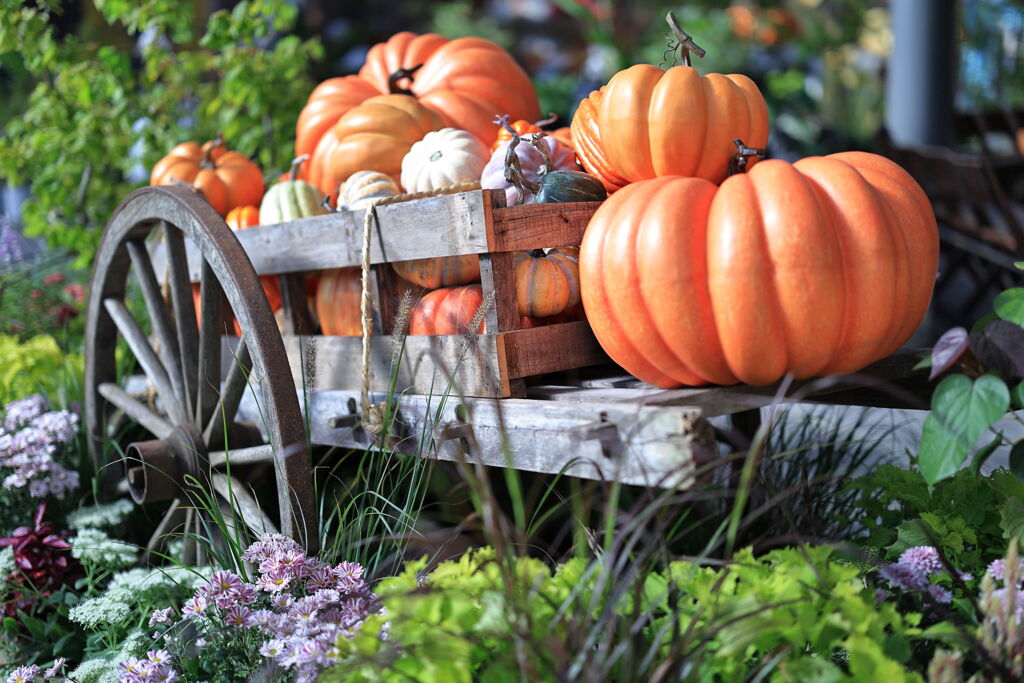 デンパークのハロウィン＃７