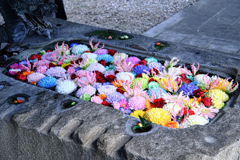 てらまちウォークと花手水＃７