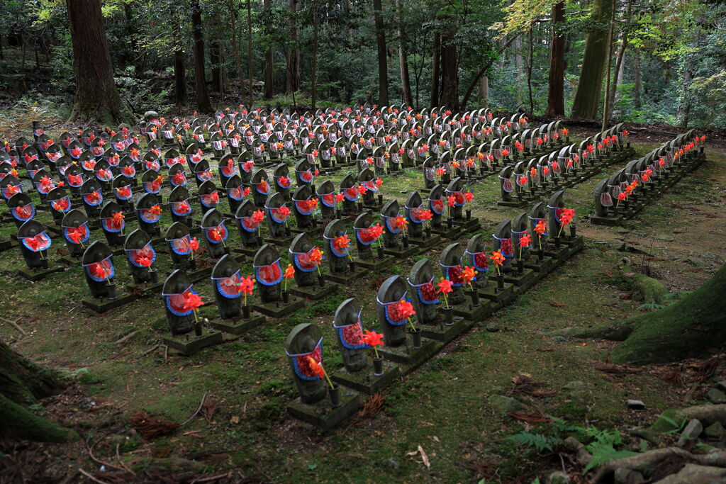 金剛輪寺の紅葉＃９