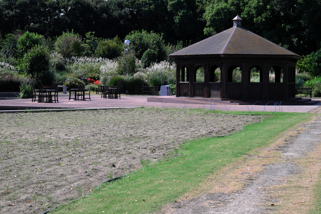 久し振りのヒーリングガーデン＃１