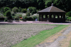 久し振りのヒーリングガーデン＃１