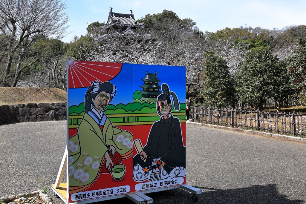 見頃の西尾歴史公園サクラ＃２