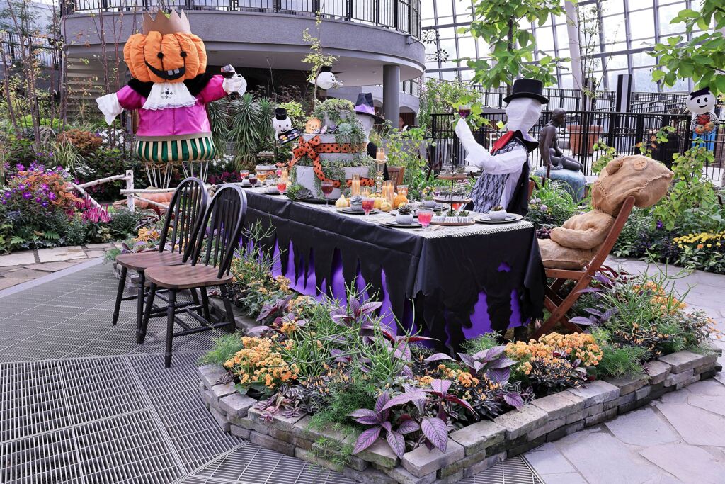 ハッピーハロウィン＃３