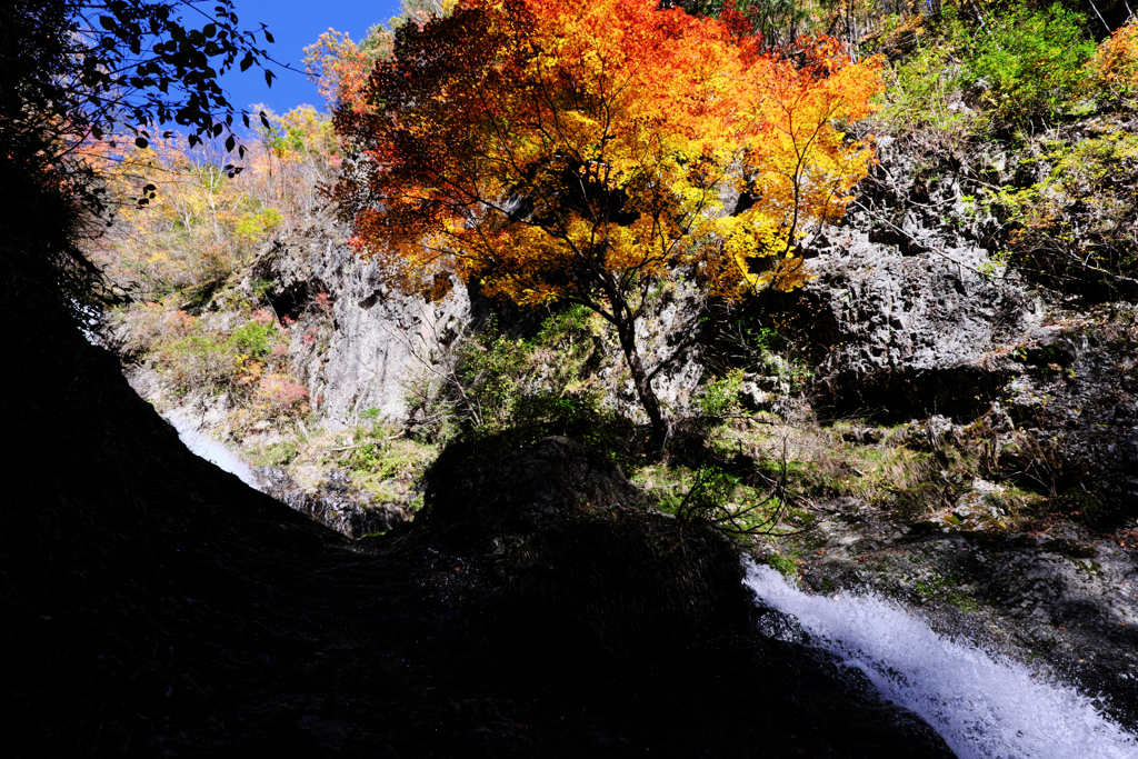 木曽町唐沢の滝・紅葉撮影＃８