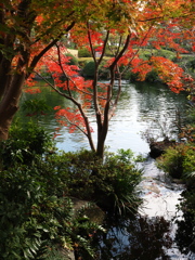 京都風情タップリ丈山苑＃１５