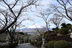 今年初めての新春富士山撮影#10