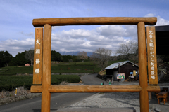 大渕笹場と富士川S.A #1