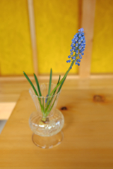 コーヒーショップでテーブルフォト＃５