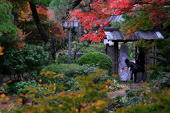 敢えて雨降りの紅葉撮影#7